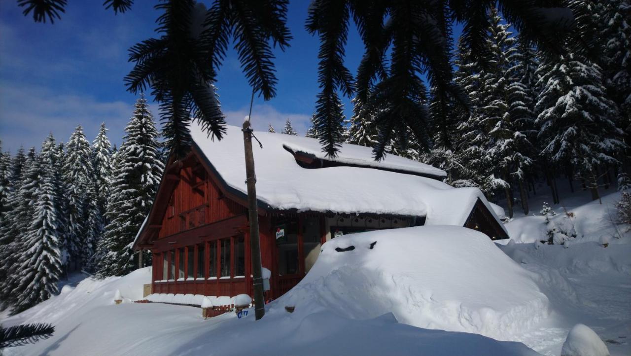 Jezirko Lesni Restaurant & Penzion Jáchymov Zewnętrze zdjęcie