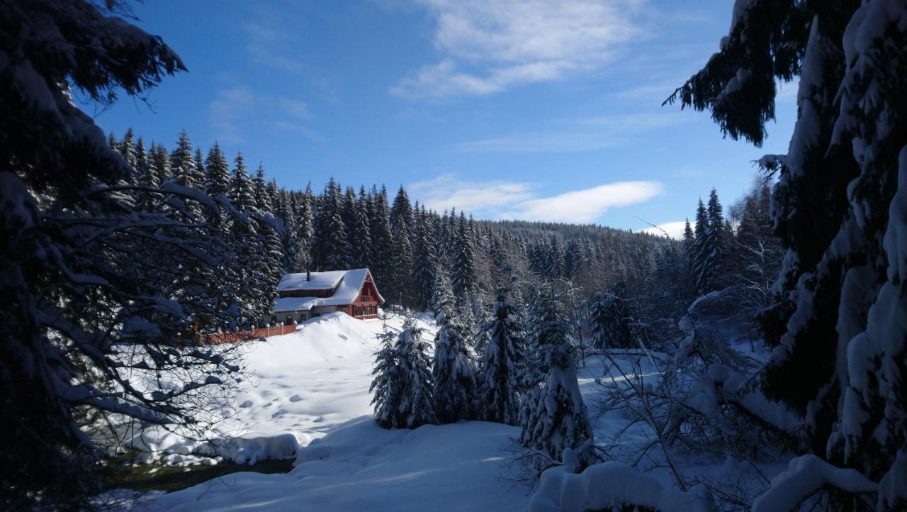 Jezirko Lesni Restaurant & Penzion Jáchymov Zewnętrze zdjęcie
